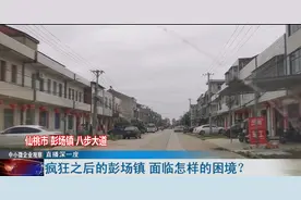 一炮而红！员工曾月入5万！湖北这个小镇将如何转型？图片
