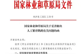 国家林草局发函：河南省成国内首个人工养殖鹦鹉专用标识管理试点 合法养殖鹦鹉商户有望不再“涉案”图片