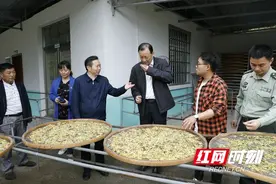 吉首大学：精准扶贫立功勋 乡村振兴再出发图片