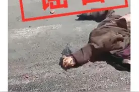 网传张家口出现狼吃人？回应来了图片