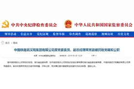 武汉铁路局集团高层蒋芳政受贿三千多万，详情披露图片