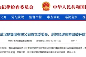 武汉铁路局集团高层蒋芳政受贿三千多万，详情披露图片