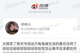 女网友家中摆玳瑁作充电座？专家：系玳瑁标本，私藏涉嫌违法图片