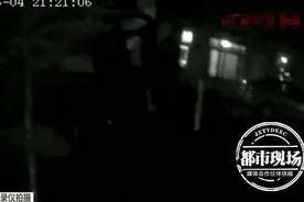 黑龙江一大黄狗发狂，连咬两人，这怎么办？图片