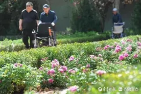 昔日花市大变身，济南花圃公园玫瑰海棠园已免费开放图片