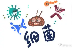 内裤到底有多脏？图片