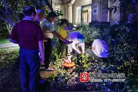 南宁一小区内，女子与丈夫吵架后从6楼坠下……图片