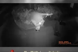 深夜街头“捡”回醉酒姑娘，奎文交警变身操心“老父亲”图片