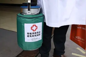 用老幺的脐血拯救地贫兄长、姐姐图片
