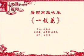 孔孟乡音系列之鲁西南鼓吹乐十《一枝花》图片