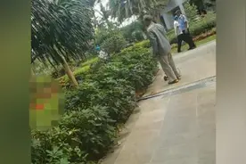 红衣女子阳台外跳舞坠亡涉事民宿开业不久，物业称其跳了几天视频封面
