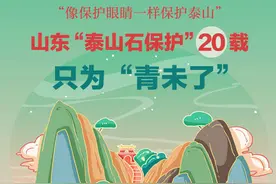 图解丨山东“泰山石保护”持续20载，只为“青未了”图片