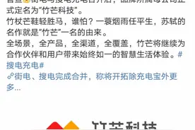 卖口罩、卖白酒……共享充电企业纷纷跨界，能拉升低到可怜的净利率吗？图片