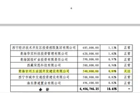 金融报道｜青海银行之困：盈利能力断层资产质量恶化 大客户贷款风险需关注图片