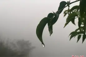 江西强对流天气进入高发期 未来将迎来大范围暴雨图片