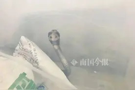 深夜，广西一居民听到奇怪声响，开灯后吓坏了图片