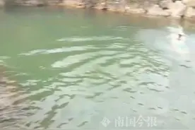 痛心！柳州初二男生溺水，同伴没说，老师7小时后才发现…图片