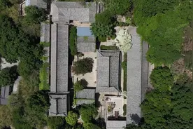 诗画山东｜花浓如云、馨香似溢...崂山百年流苏花盛开现“五月飘雪”美景图片