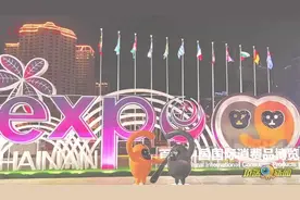 同为2.5亿元，88克拉黑钻和祖母绿首饰选哪个？图片