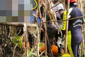 在厄瓜多尔失踪的22岁中国籍女翻译尸体被发现图片