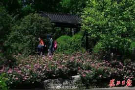 “暴雨+雷电”组合来袭，下周武汉又要下雨了图片