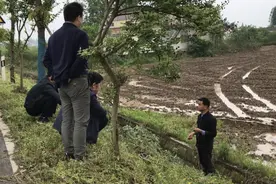 关于这次中央环保督察，有哪些账该算清楚图片