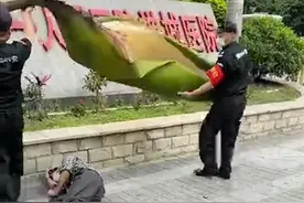 广东男子被一片树叶砸晕在地！网友：南方的树叶不好惹…图片