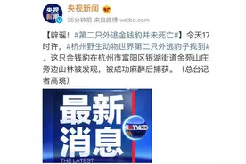 “金钱豹外逃”事件，最新进展来了图片