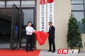 衡阳县西渡高新区：一枚印章管审批，服务企业零距离图片