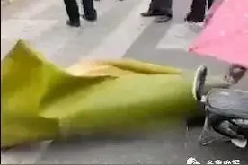 男子被一片树叶砸晕？！网友看到树叶真身：失敬了图片