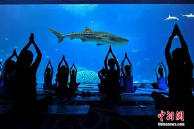 广东珠海：“潮妈”练瑜伽欢度母亲节图片