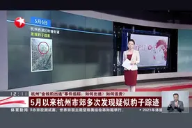 杭州“金钱豹出逃”事件追踪：如何出逃？  如何追责？  5月以来杭州市郊多次发现疑似豹子踪迹视频封面