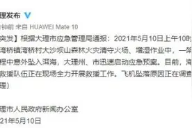 云南一灭火直升机取水过程中坠入洱海最新消息：坠落原因正在调查图片