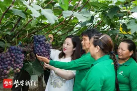 江苏最美人物丨“果二代”转型水果连锁销售“创一代”，领着数千农民致富奔小康图片