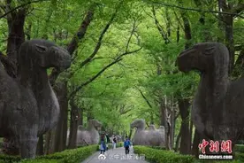 瑞典“环保少女”点名中国，若真无知还请多读书图片