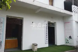 一年接单100多 记者探访宣城一家宠物“殡仪馆”图片