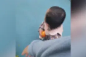 13岁幼女怀孕事件警方已立案，婴儿生物学父亲涉强奸被刑拘视频封面