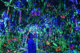 数字艺术和娱乐相结合！捷克举行“神秘森林”沉浸式互动展图片