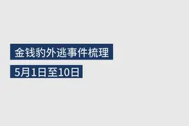 思客数理话丨3只金钱豹20天前已外逃，这都敢“瞒豹”图片