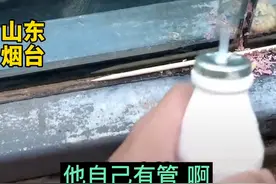 网红大猩猩喝“钙奶”，自备吸管，网友：干净又卫生图片