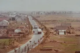 时间回到1993，你知道这一年奉城发生了哪些大事？图片