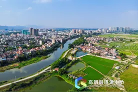 高明，三连冠！图片