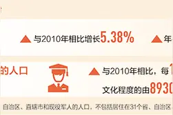 第七次全国人口普查主要数据公布 人口总量保持平稳增长图片