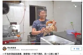海南美食博主吃播国家二级保护动物“法螺”！涉案3人已刑拘图片