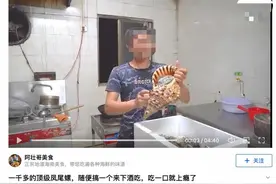 海南美食博主吃播国家二级保护动物“法螺”！涉案3人已刑拘图片