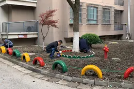 物业保姆式服务推进“动迁小区”环境换新颜图片