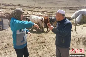 青海门源“折翼”夫妻：梦里的好事都成真了图片
