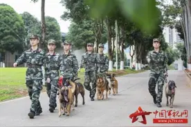 武警广西总队某支队组织训导员携军犬开展多课目训练图片