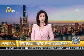 浦东足球场草坪种植完成“白玉碗”绿草茵茵指日可待视频封面