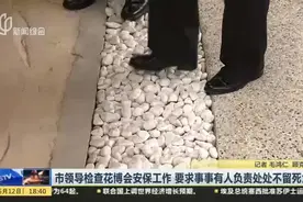市领导检查花博会安保工作  要求事事有人负责处处不留死角视频封面